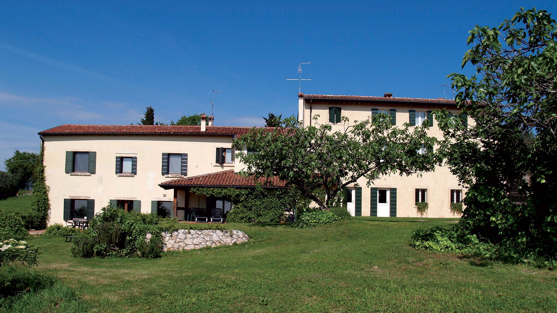 Vigneto in collina con colori autunnali e persone che lavorano tra i filari.